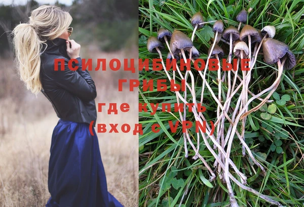 прущая мука Нея