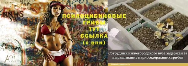 экстази Абаза